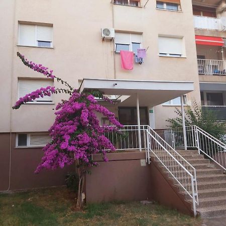Popovic Apartment Pula Ngoại thất bức ảnh