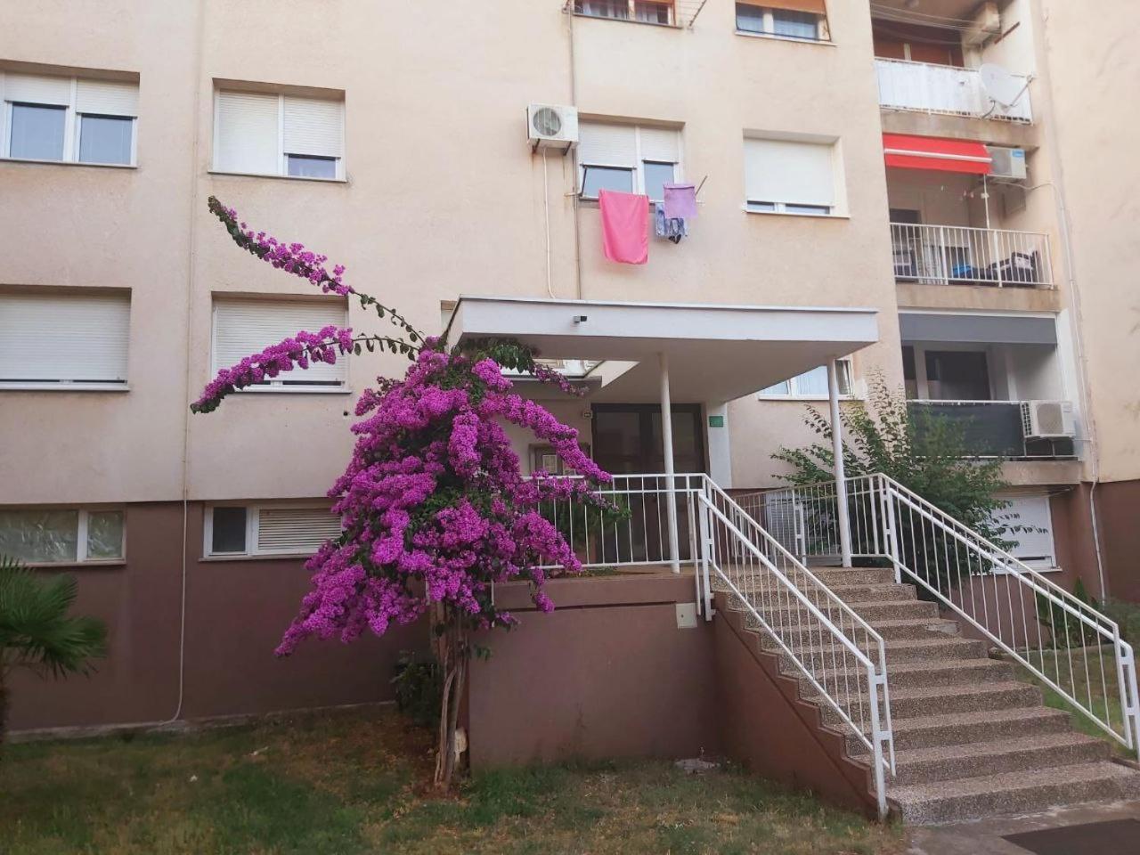 Popovic Apartment Pula Ngoại thất bức ảnh